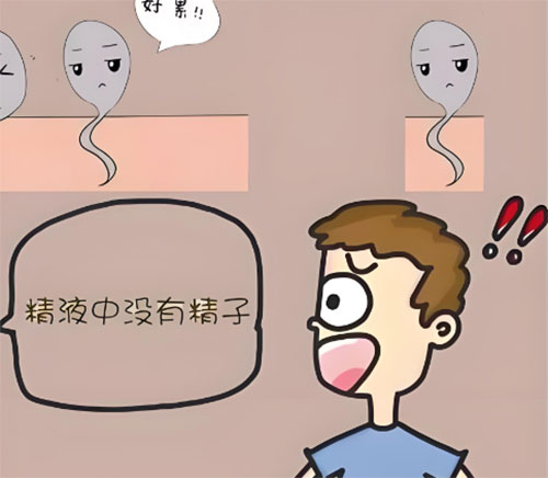 <b>少精症是什么意思</b>