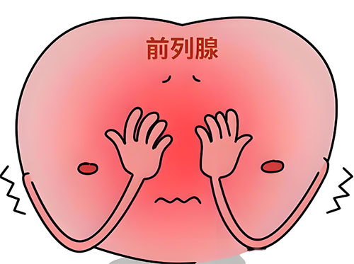 <b>前列腺增生是怎么回事</b>