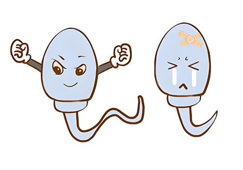 <b>弱精症可以怀孕吗几率有多高</b>