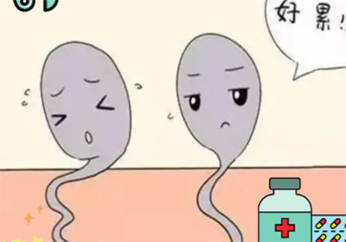 <b>弱精症能怀孕吗</b>