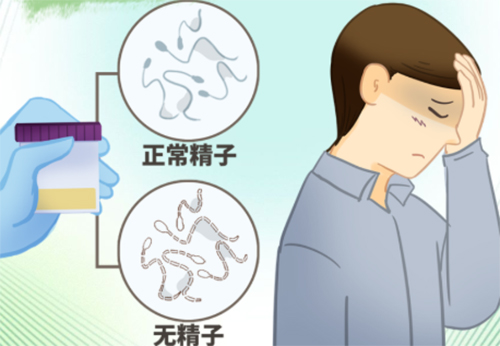 <b>无精症有精液吗</b>