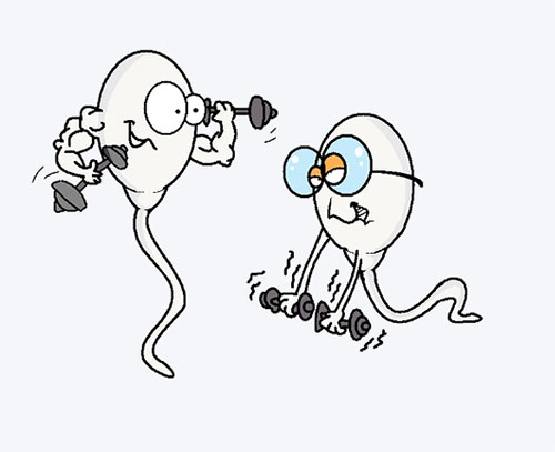 <b>畸形精症怎么治疗</b>