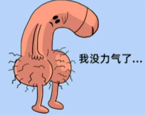 <b>勃而不坚能治愈么</b>