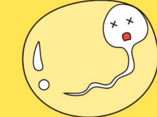 <b>精液发黄怎么改善</b>