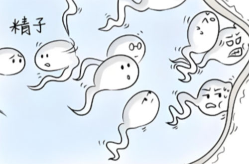 <b>精液像水会影响生育能力吗</b>
