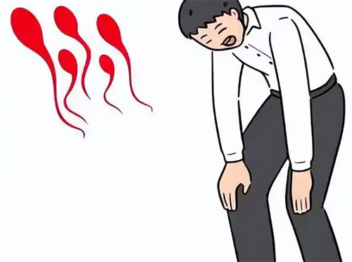 <b>男人血精是不是有病</b>