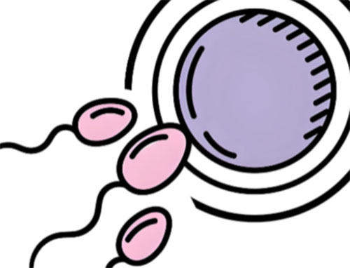 <b>精液异常会怀孕吗</b>