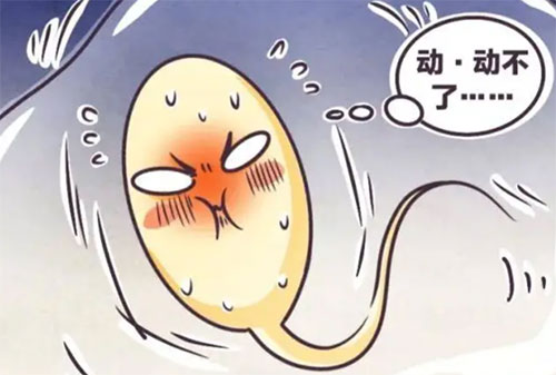 <b>精不液化吃什么药能治好</b>