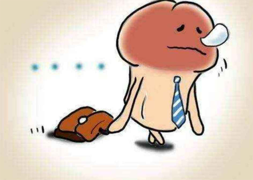 <b>硬不起怎么快速恢复</b>