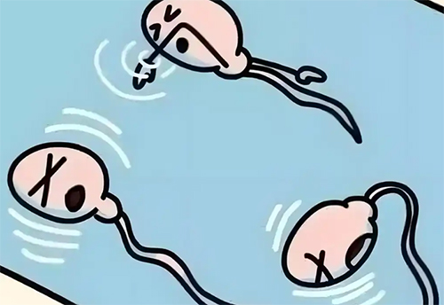 <b>少精症怎么引起的</b>