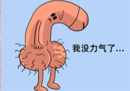<b>中途软了怎么调理</b>