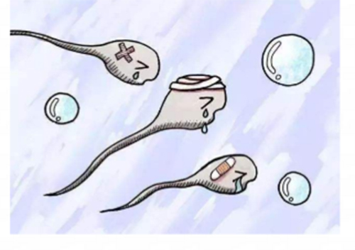 <b>死精症影响性生活吗</b>