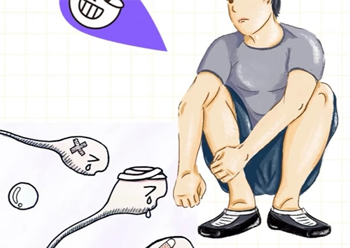 <b>男人少精能怀孕吗</b>
