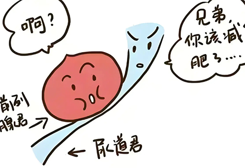 <b>前列腺肥大需要手术吗</b>