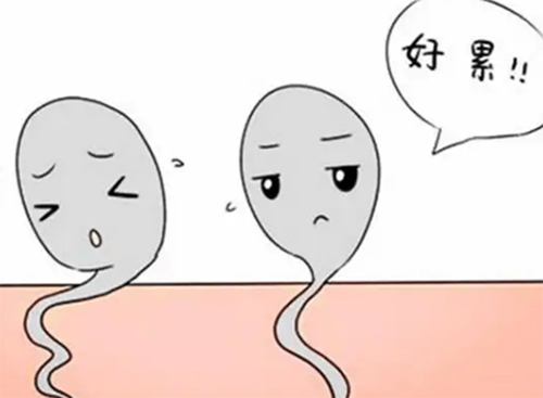 <b>男人弱精可以生育吗</b>