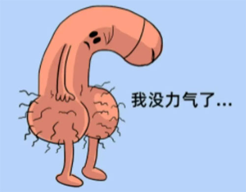 <b>勃而不坚怎么自我调理</b>
