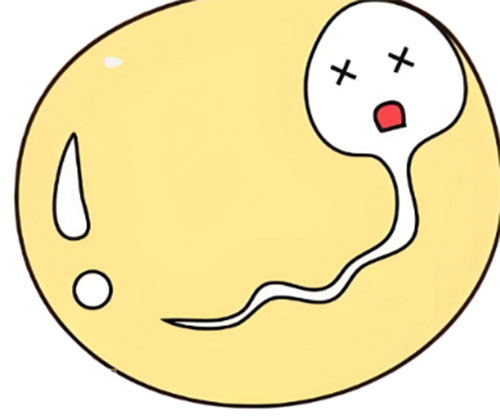 <b>精液异常怎么治</b>