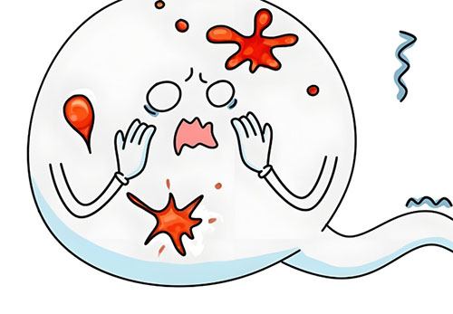 <b>男人血精是什么意思</b>