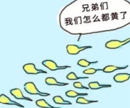 <b>精液发黄怎么治疗</b>
