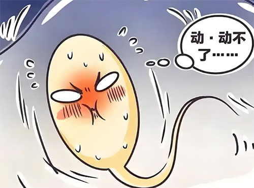 <b>精液臭怎么办能治好吗</b>