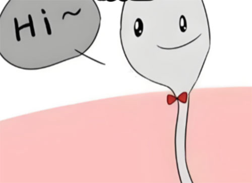 <b>精液很淡什么原因</b>